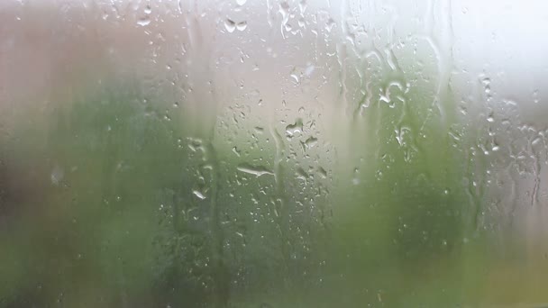 Lluvia y gotas de agua cayendo sobre el vidrio durante la tormenta de lluvia, de cerca . — Vídeos de Stock