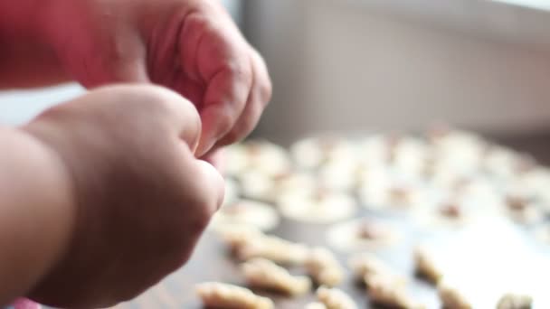 Närbild av en kock som förbereder en pizza paj från grunden i hans kök med en tegelugn — Stockvideo