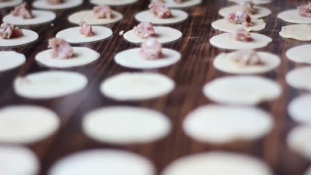 Primer plano de un chef preparando un pastel de pizza desde cero en su cocina con un horno de ladrillo — Vídeos de Stock