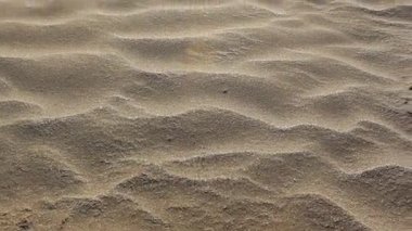 Yürüme veya kum üzerinde ilerlemeye