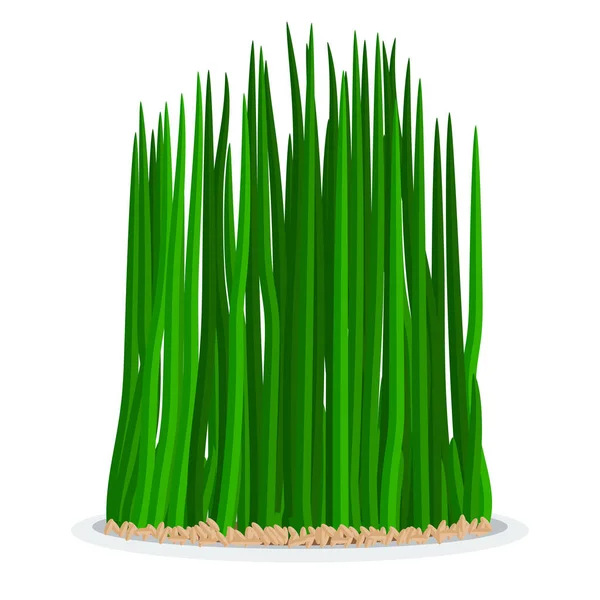 Nowruz feriado grama semeni na placa — Vetor de Stock