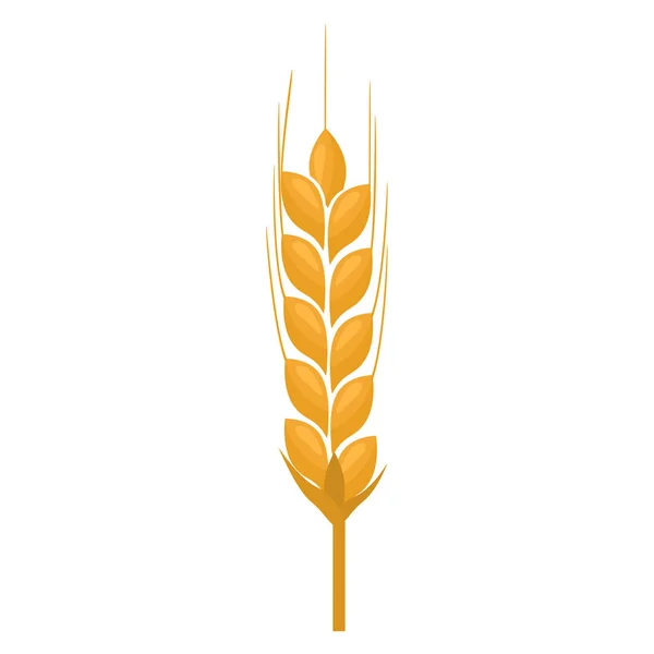 Wheat spike yellow isolated on white background. Flat color — Stock Vector