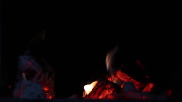 Queima de fogo dentro do forno com fundo escuro — Vídeo de Stock