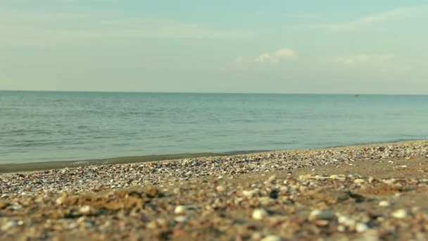 Zandstrand op de oever van de Kaspische Zee. — Stockvideo