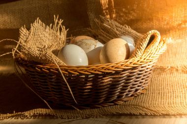 Çuval bezi kumaş malzeme ve doğrudan sabah güneş ışığı efekti ile sarılı sepet içinde taze organik tavuk yumurta.