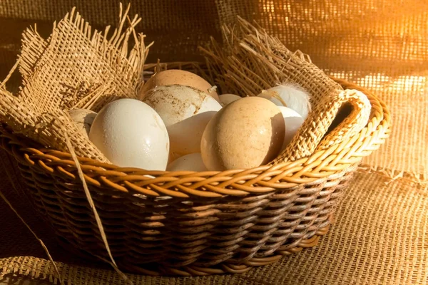 Fresh organic Hen eggs in basket wrapped with burlap fabric material and with direct morning sunshine light effect. — Stock Photo, Image