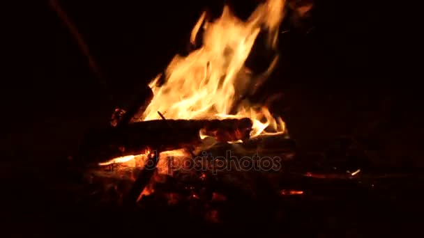 Fireplace with roaring wood fire with embers — Stock Video