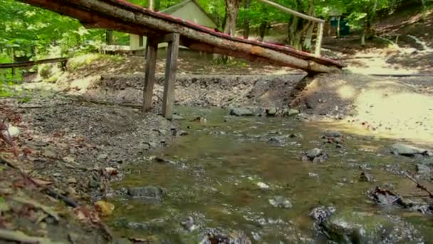 Vieux petit pont en bois sur la rivière de la forêt . — Video