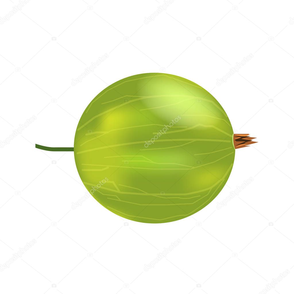 Single realistic 3d amla or Indian gooseberry mockup. Isolated on white background.