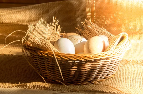 Fresh organic Hen eggs in basket wrapped with burlap fabric material and with direct morning sunshine light effect.
