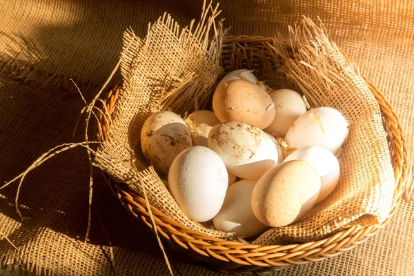 Fresh organic Hen eggs in basket wrapped with burlap fabric material and with direct morning sunshine light effect.