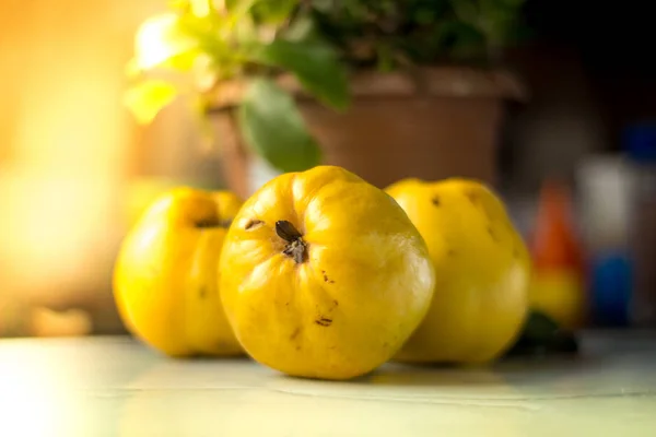 Organic Ripe yellow quince fruit on wooden table. — Stock Photo, Image