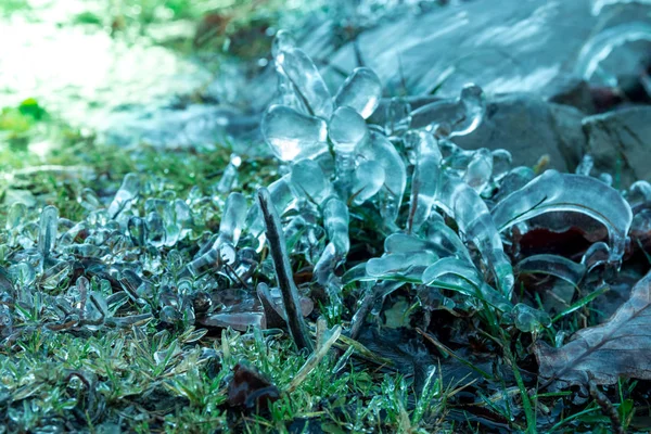 Hierba cubierta de escarcha y hojas en luz fría de la mañana . — Foto de Stock