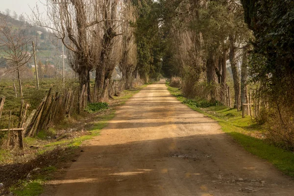 Estrada rural para fazenda de campo de chá com efeito de luz do sol da manhã. Dramático, rural e cênica principal estrada foto . — Fotografia de Stock