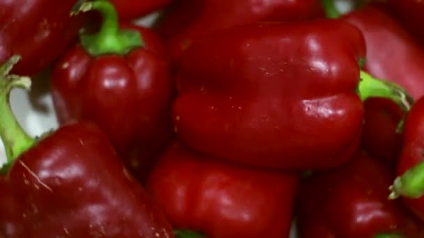 Rote Bio-Paprika rotierend. Schlupfwinkel von oben. — Stockvideo