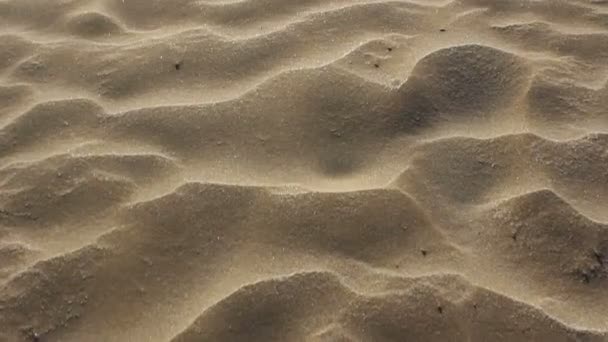 Chůzi nebo pohybu vpřed na písku — Stock video