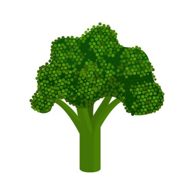 Renkli brokoli vektör koleksiyonu. Düz ve katı renk stili resimli.