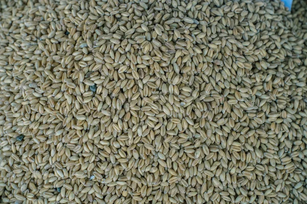 Grupo de grãos de trigo com vista superior. Tiros no mercado — Fotografia de Stock