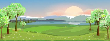 Üzerinde yeşil ağaçlar ve taze çiçekler olan bahar çayırları. Vektör illüstrasyonu.