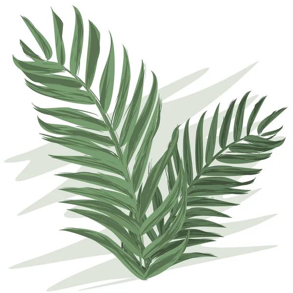 Folha exótica tropical de árvore monstera com estilo aquarela. Estilo de cor plana Vector Ilustração . — Vetor de Stock