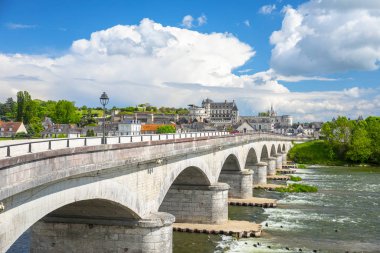 Loire Nehri'nin karşısındaki Rönesans şatosu ile tarihi Amboise şehrinin siluetinin güzel manzarası. Fransa
