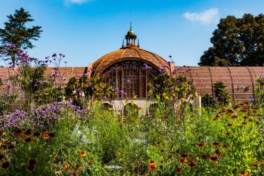 Bahar çiçekleri dışında botanik bina Balboa Park