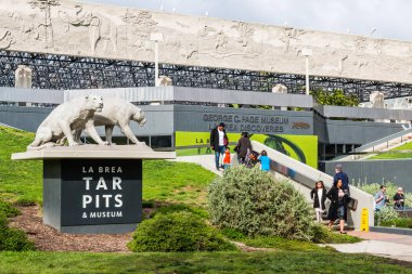 Saber Tooth kaplanlar La Brea katran çukurları girişine yakın