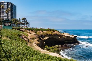 Buz bitkiler La Jolla Cove erozyona uğramış Cliff üzerinde