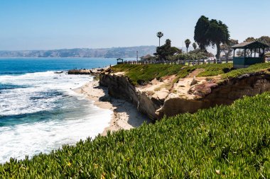 Buz bitkiler Cliffside La Jolla Cove gözlem noktaları ile