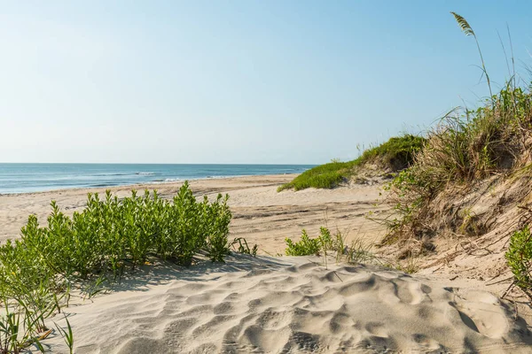 Spiaggia di Coquina sulle Banche Esterne in Nags Head — Foto Stock