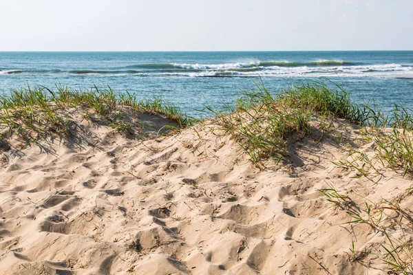 Dunas de arena con el océano en Virginia Beach, Virginia —  Fotos de Stock