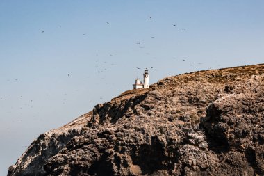 Anacapa Island, beş volkanik adalar kapalı sahil Port Hueneme, California, Ventura County, yüksek tepesine oturan Anacapa deniz feneri.