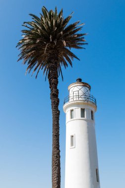 Noktası Vicente fener kulesi ve palmiye ağacı California