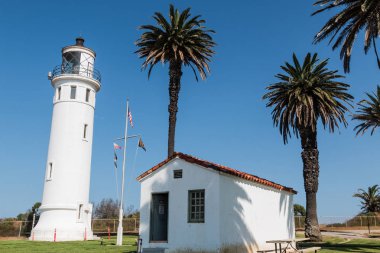 Palmiye ağaçları Surround noktası Vicente deniz feneri