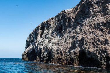 Ventura, Kaliforniya kıyılarında 11 mil Anacapa Island Kanal Adaları Ulusal Park oluşturur volkanik taş yakın çekim. 