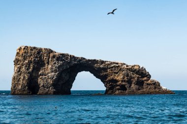 Kaya, doğal köprüden Ventura, California sahil Anacapa Island Kanal Adaları Milli Parkı'nda yay.