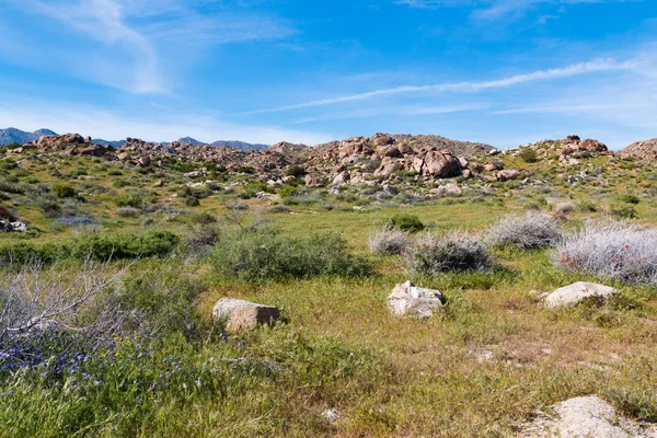 Anza Borrego Desert State Park California Largest State Park Located Stock Image