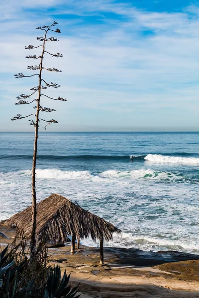 Strom Tyčí Nad Kultovní Surfař Shack Windansea Beach Jolla Kalifornie — Stock fotografie