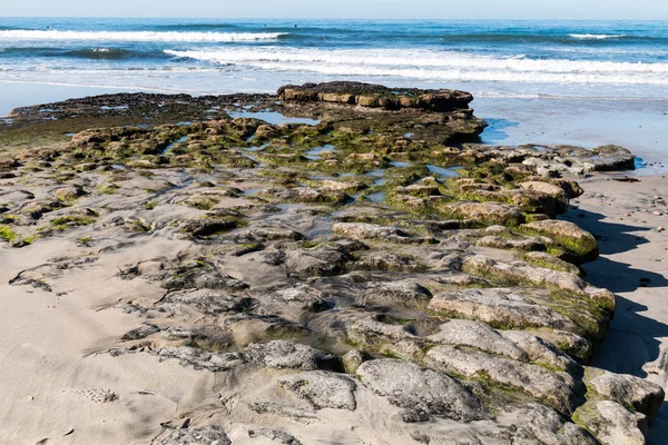 Rocky Риф Покритий Морських Жолудів Водоростей Свамі Пляжі Каліфорнії — стокове фото