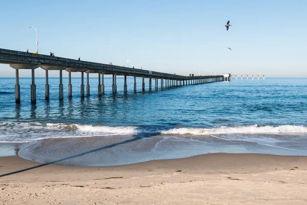 San Diego California Usa February 2018 People Fish Enjoy View — Stock Photo, Image