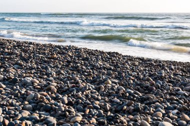 Torrey Pines devlet Beach San Diego, Kaliforniya Kıyı taş kapak.