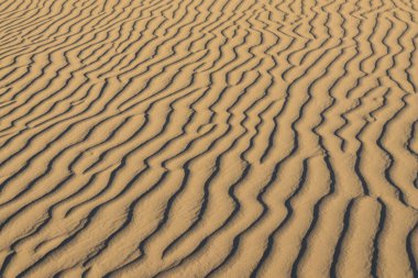 Imperial County, California 'daki Glamis Eğlence Bölgesi' nde kumdaki dalgalanmalar. 