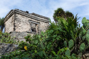 Tulum, Meksika 'da, Casa Del Cenote (Cenote Evi) kalan kalıntılardan biridir..