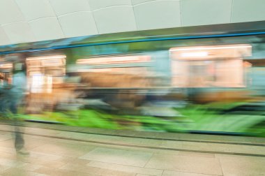 Yeni kişiselleştirilmiş tren Timiryazevskaya Moskova metro istasyonunda Amur Kaplanları 