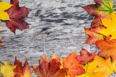 Sonbahar akçaağaç ahşap tahta üzerinde dağınık bırakır