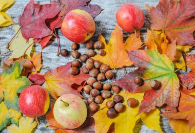 Akçaağaç yaprakları, elma ve eski ahşap dağınık fındık 