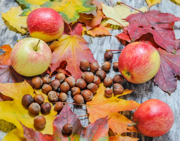 Hojas de arce, manzanas y avellanas esparcidas en la madera vieja — Foto de Stock