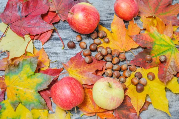 Hojas de arce, manzanas y avellanas esparcidas en la madera vieja — Foto de Stock