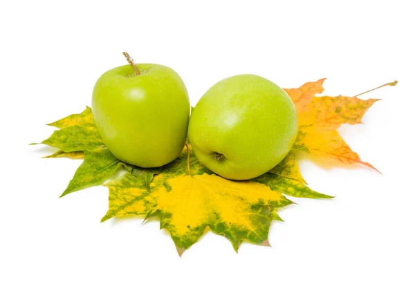 Two green ripe apples is on the green and yellow colorful maple — Stock Photo, Image