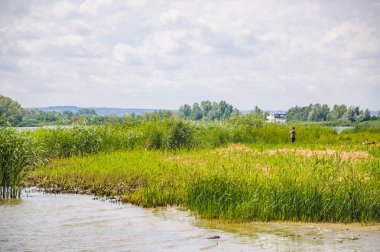 Rostov-on-Don çevresi Don Nehri kıyısında